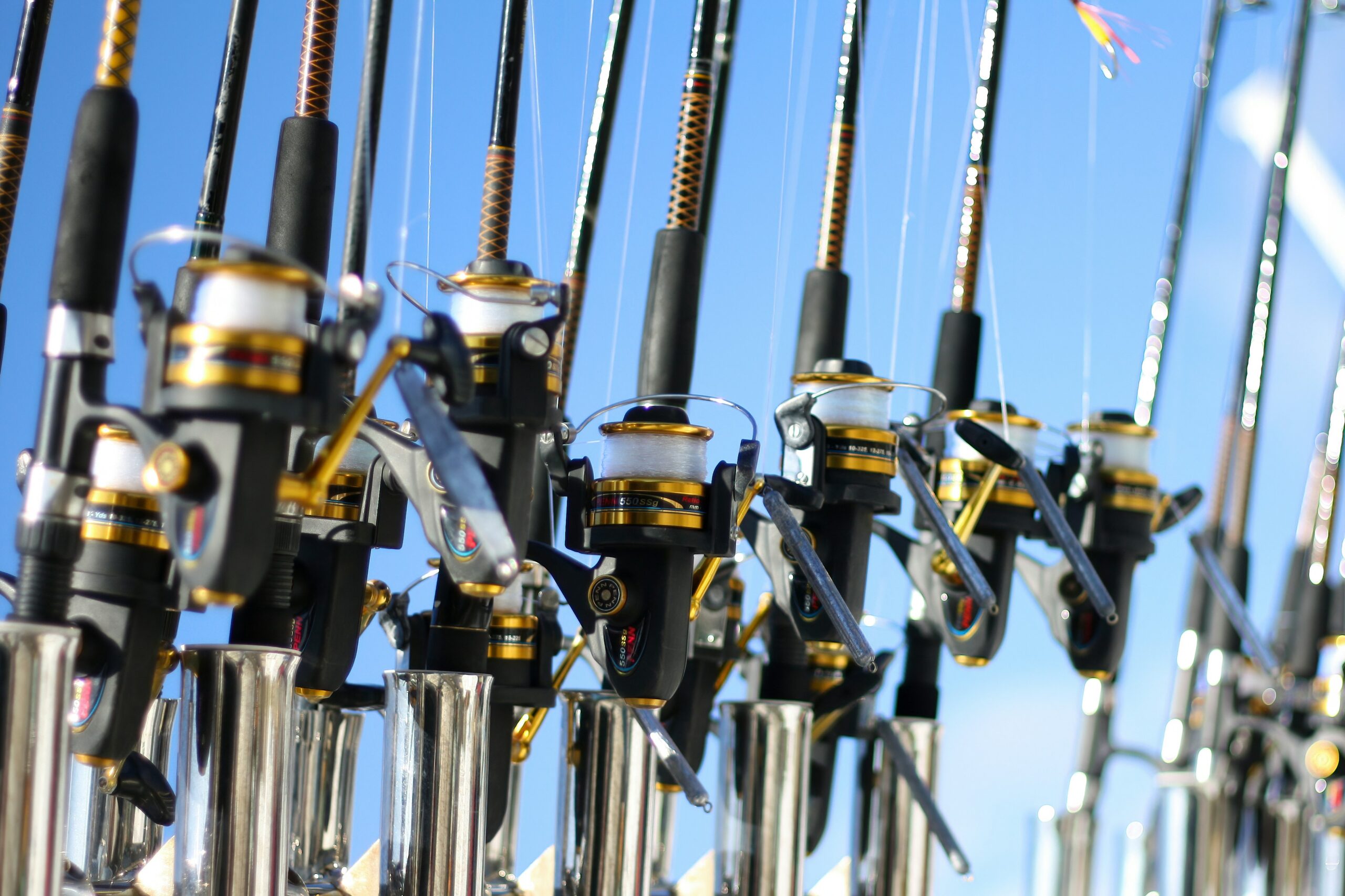 A Comprehensive Guide on How Fishing Reels Work