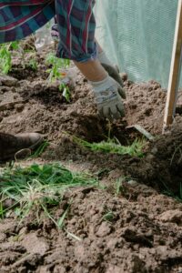 The Therapeutic Benefits of Gardening - a woman digging a hole in her garden