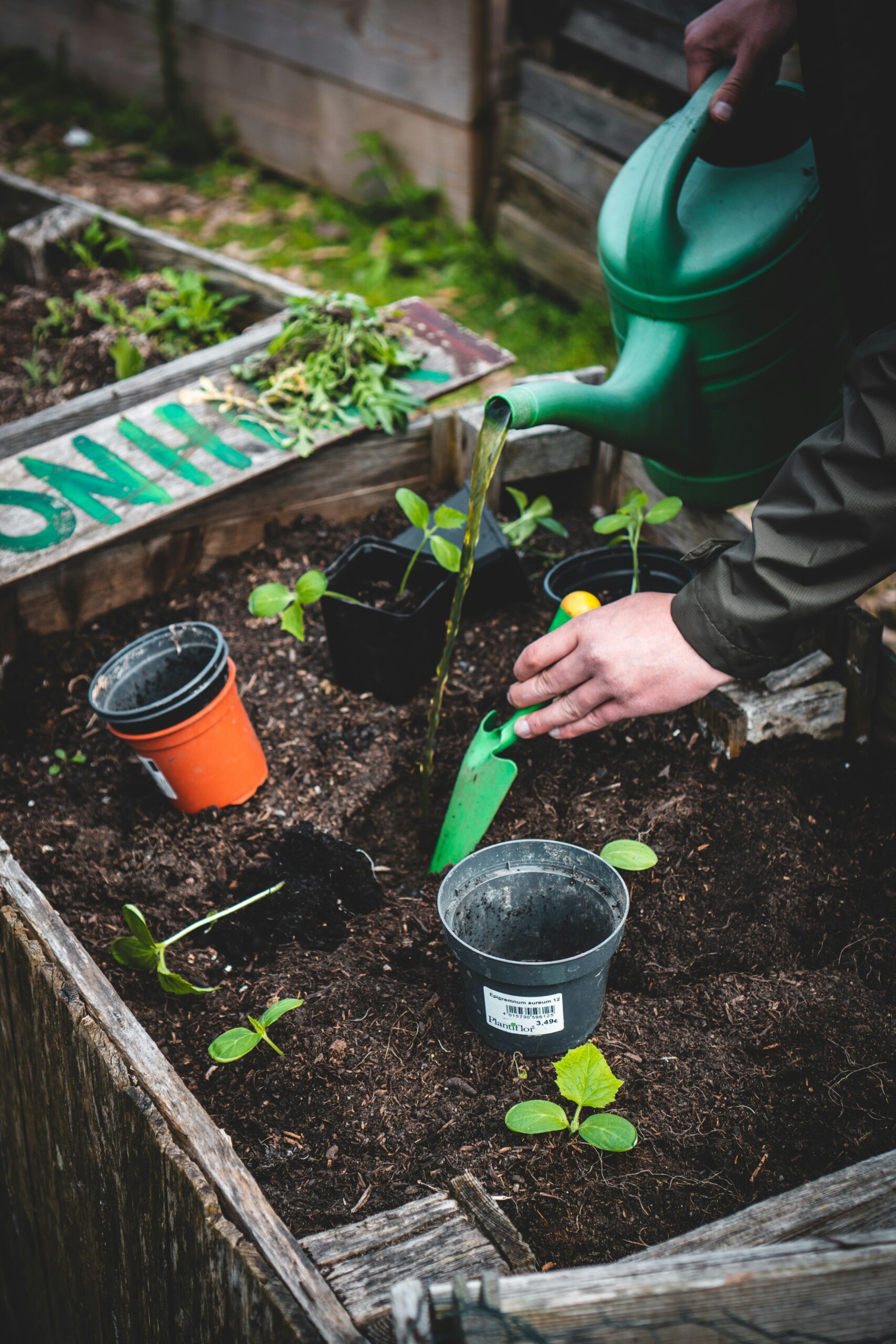 Read more about the article The Health Benefits of Gardening