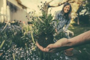 Read more about the article The Impact of Gardening on Reducing Stress